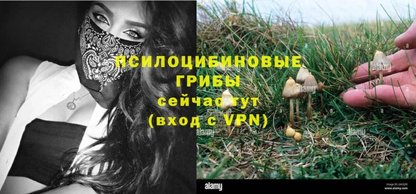 a pvp Михайловск