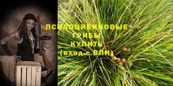 a pvp Михайловск